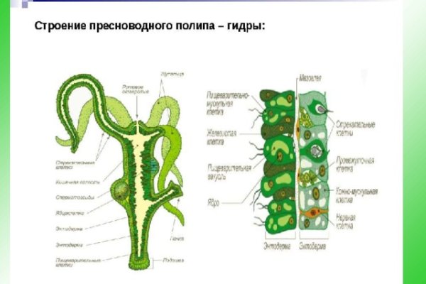 Как вывести с кракена