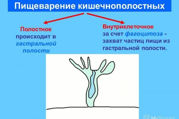 Ссылки на сайты даркнета